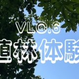 【VLO6　植林体験のお知らせ】