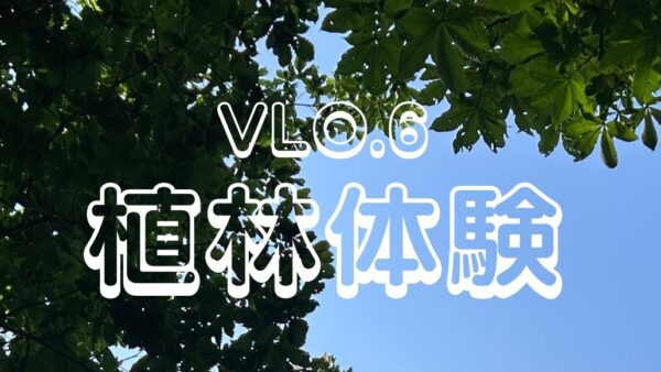 【VLO6　植林体験のお知らせ】
