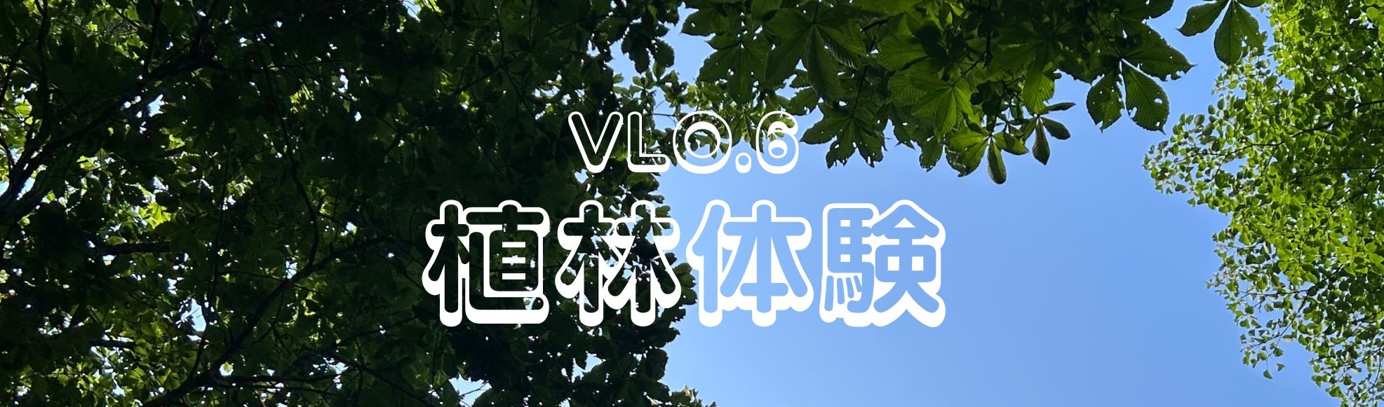 【VLO6 植林体験のお知らせ】